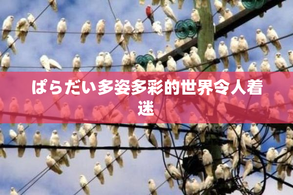 ぱらだい多姿多彩的世界令人着迷