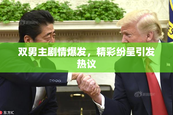 双男主剧情爆发，精彩纷呈引发热议