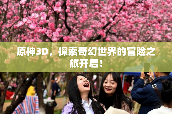 原神3D，探索奇幻世界的冒险之旅开启！