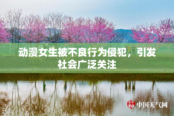 动漫女生被不良行为侵犯，引发社会广泛关注