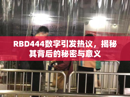 RBD444数字引发热议，揭秘其背后的秘密与意义