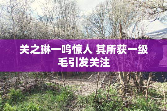 关之琳一鸣惊人 其所获一级毛引发关注