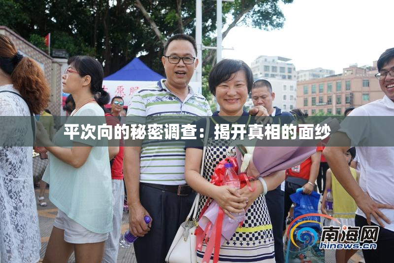 平次向的秘密调查：揭开真相的面纱