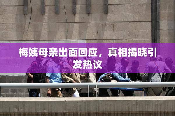 梅姨母亲出面回应，真相揭晓引发热议