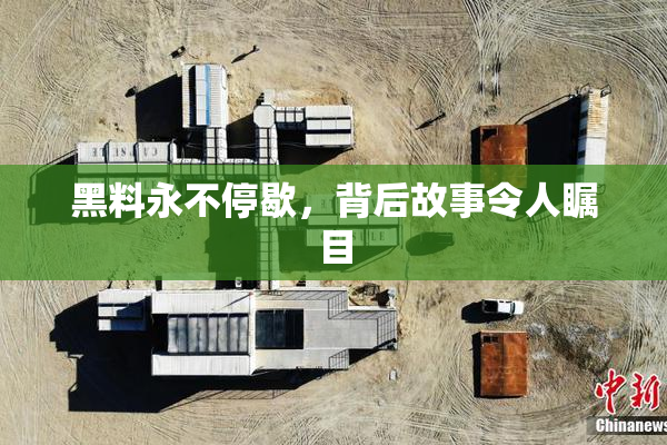 黑料永不停歇，背后故事令人瞩目