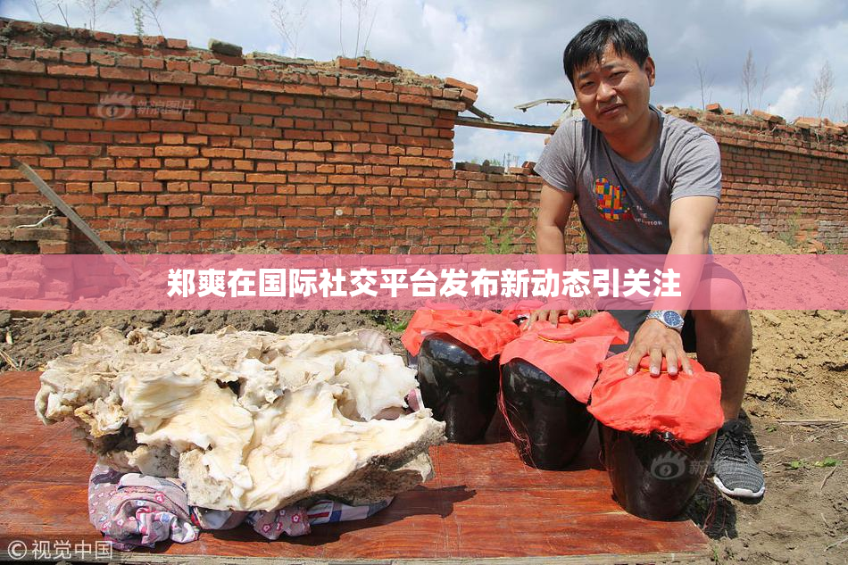 郑爽在国际社交平台发布新动态引关注