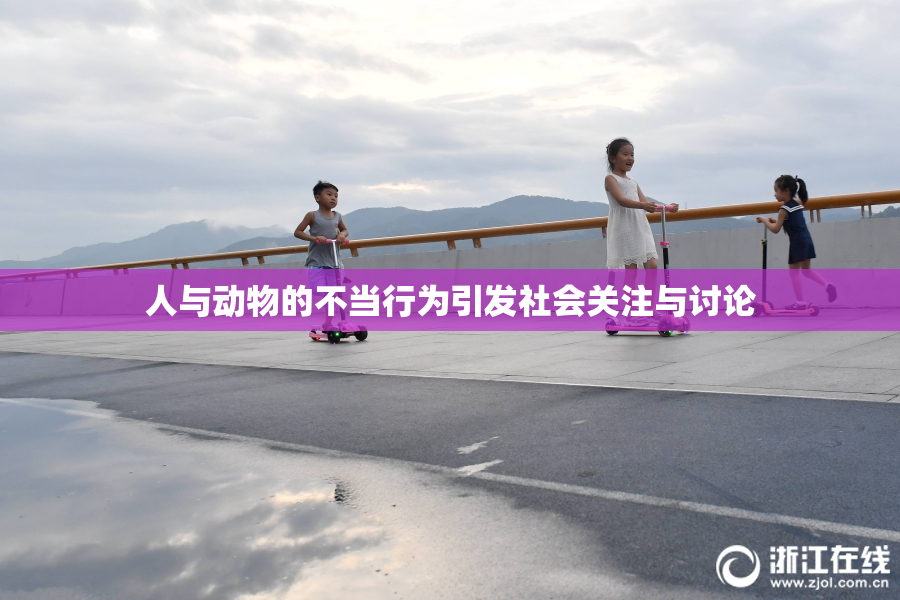 人与动物的不当行为引发社会关注与讨论