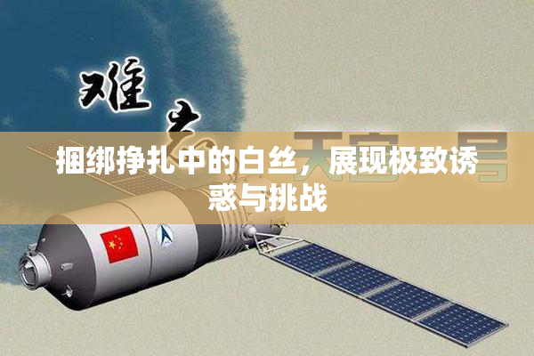 捆绑挣扎中的白丝，展现极致诱惑与挑战