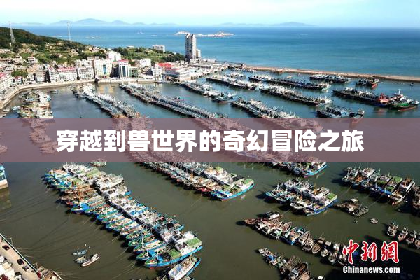 穿越到兽世界的奇幻冒险之旅