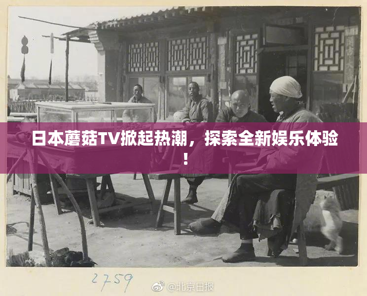 日本蘑菇TV掀起热潮，探索全新娱乐体验！
