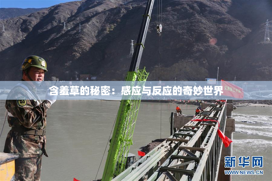 含羞草的秘密：感应与反应的奇妙世界