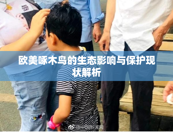 欧美啄木鸟的生态影响与保护现状解析
