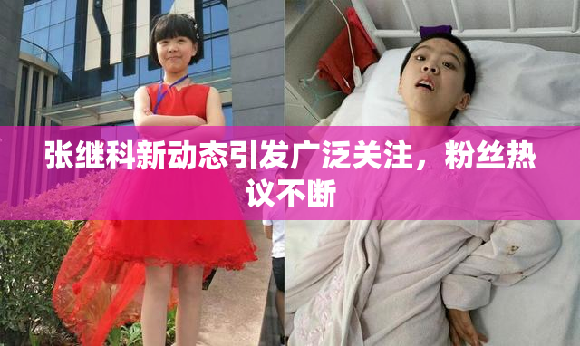 张继科新动态引发广泛关注，粉丝热议不断