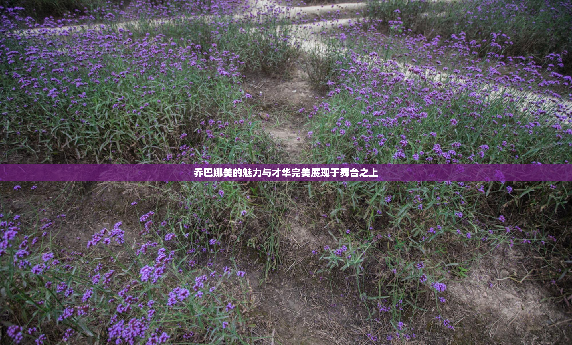 乔巴娜美的魅力与才华完美展现于舞台之上