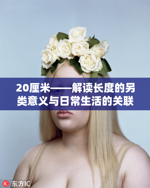 20厘米——解读长度的另类意义与日常生活的关联
