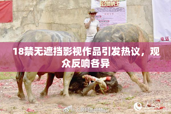 18禁无遮挡影视作品引发热议，观众反响各异