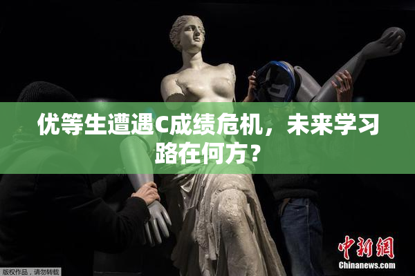 优等生遭遇C成绩危机，未来学习路在何方？