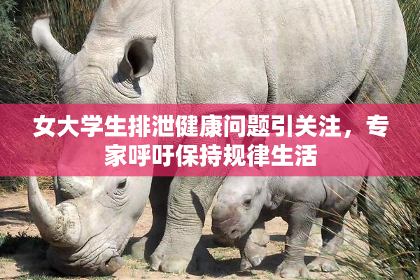 女大学生排泄健康问题引关注，专家呼吁保持规律生活