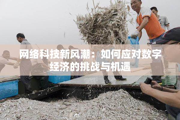 网络科技新风潮：如何应对数字经济的挑战与机遇