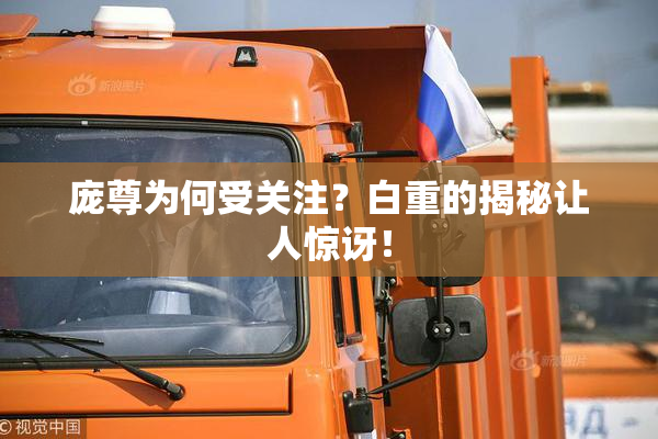 庞尊为何受关注？白重的揭秘让人惊讶！
