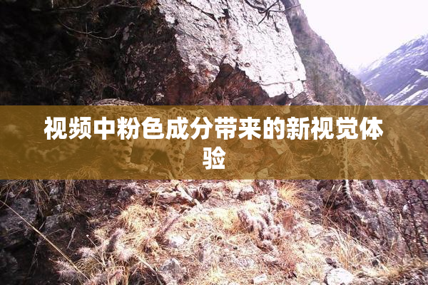 视频中粉色成分带来的新视觉体验