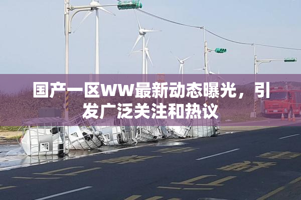 国产一区WW最新动态曝光，引发广泛关注和热议