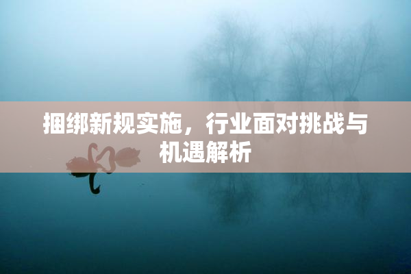 捆绑新规实施，行业面对挑战与机遇解析