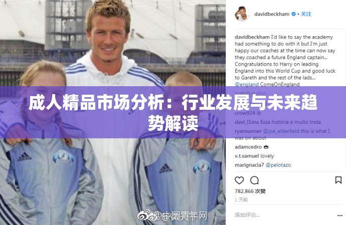 成人精品市场分析：行业发展与未来趋势解读
