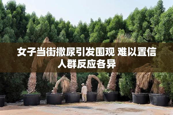 女子当街撒尿引发围观 难以置信人群反应各异