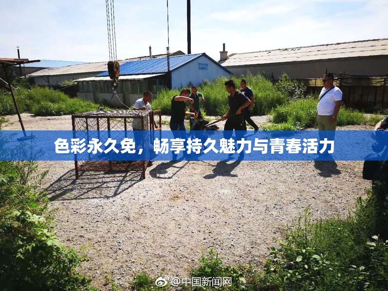 色彩永久免，畅享持久魅力与青春活力