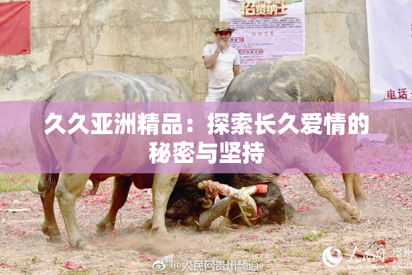久久亚洲精品：探索长久爱情的秘密与坚持