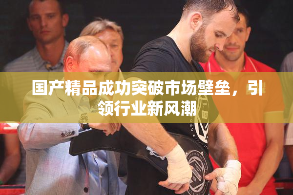 国产精品成功突破市场壁垒，引领行业新风潮