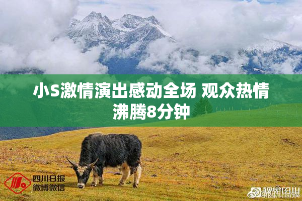 小S激情演出感动全场 观众热情沸腾8分钟