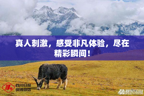 真人刺激，感受非凡体验，尽在精彩瞬间！