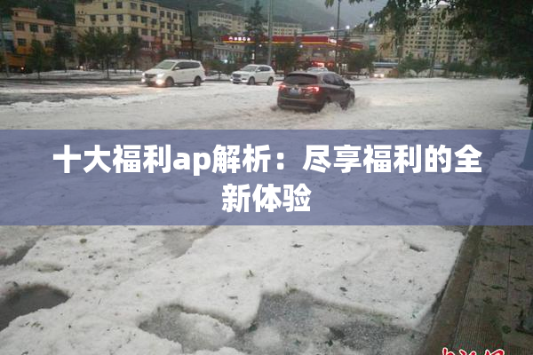 十大福利ap解析：尽享福利的全新体验