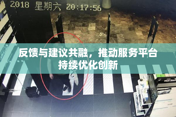 反馈与建议共融，推动服务平台持续优化创新