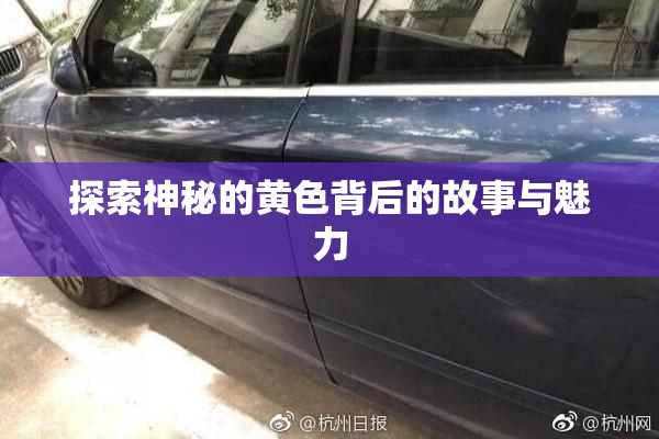 探索神秘的黄色背后的故事与魅力