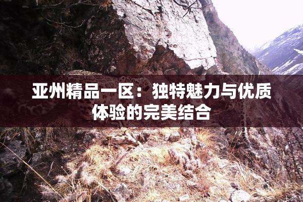 亚州精品一区：独特魅力与优质体验的完美结合