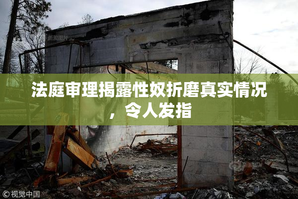 法庭审理揭露性奴折磨真实情况，令人发指