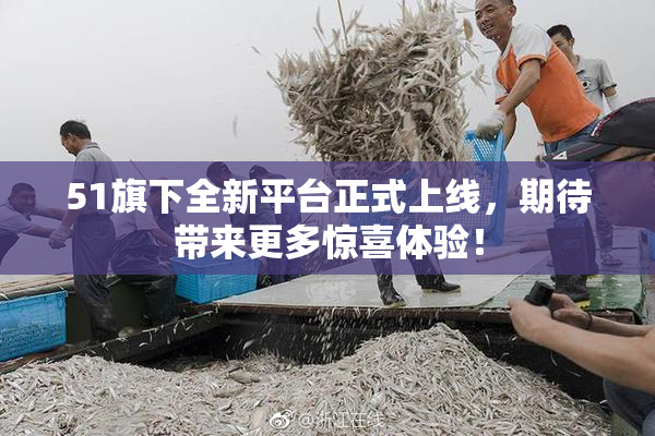 51旗下全新平台正式上线，期待带来更多惊喜体验！