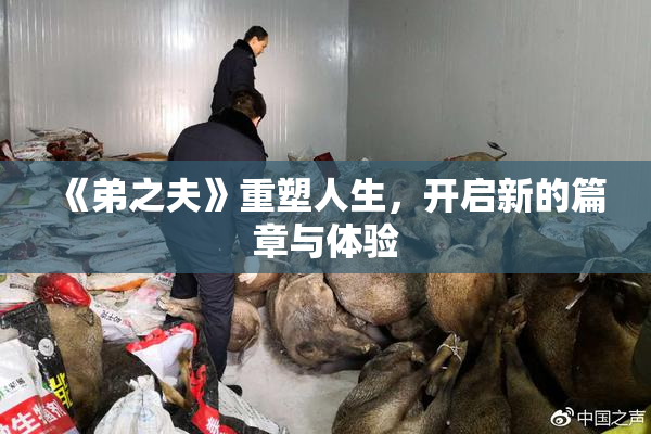《弟之夫》重塑人生，开启新的篇章与体验