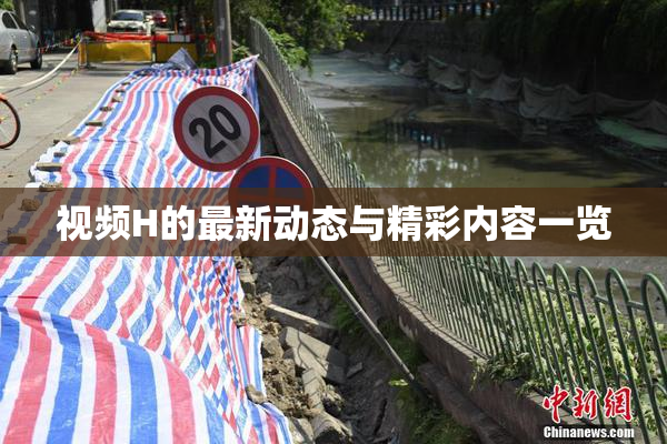 视频H的最新动态与精彩内容一览