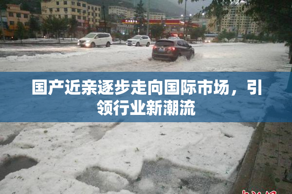 国产近亲逐步走向国际市场，引领行业新潮流