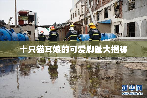 十只猫耳娘的可爱脚趾大揭秘