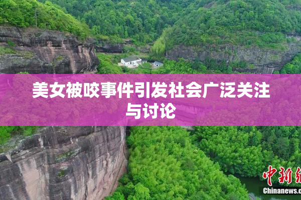 美女被咬事件引发社会广泛关注与讨论