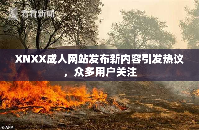 XNXX成人网站发布新内容引发热议，众多用户关注