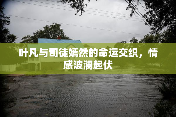 叶凡与司徒嫣然的命运交织，情感波澜起伏