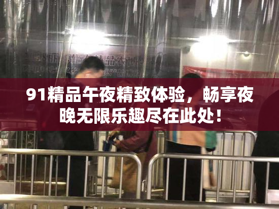 91精品午夜精致体验，畅享夜晚无限乐趣尽在此处！