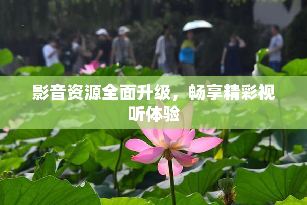 影音资源全面升级，畅享精彩视听体验