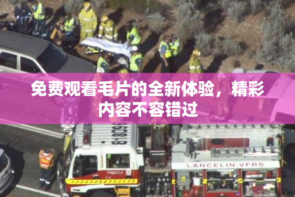 免费观看毛片的全新体验，精彩内容不容错过